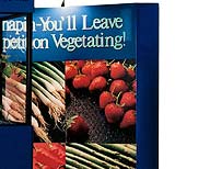 Website and Graphic Design - Leonard Rogers - Sacramento